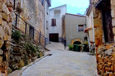 an alley between two buildings with a cat sitting on the street at Les lavandes in Duilhac