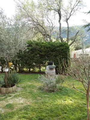 a garden with trees and a bush in the grass at Les lavandes in Duilhac
