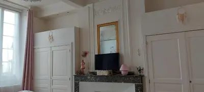 a living room with a fireplace and a television at La Belle Vie B&B in Montréal