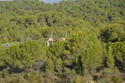 a house in the middle of a forest of trees at La petite Cigale in Cesseras