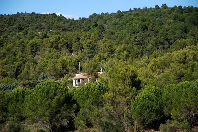 a house in the middle of a forest of trees at La petite Cigale in Cesseras