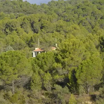 La petite Cigale