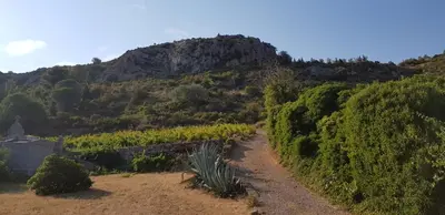 a path through a vineyard with a mountain at La villa marquesa in Fitou