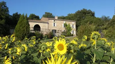 a field of sunflowers in front of a building at Chambres d'Hotes Domaine de la Capelle in Saint-Martin-Lalande