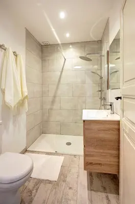 a bathroom with a shower and a toilet and a sink at Appartements du Vin in Caudiès-de-Fenouillèdes