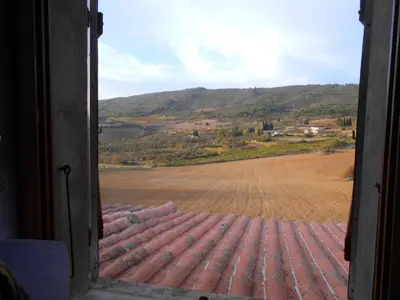 a view of a field from a window at Maison Palmeral in Coustaussa