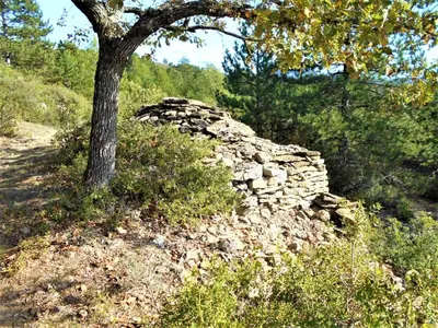 a stone wall on a hill with a tree at Maison Palmeral in Coustaussa