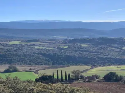 a view of a field with cypress trees on a hill at Holiday Home in Quillan near Pyrenees in Quillan