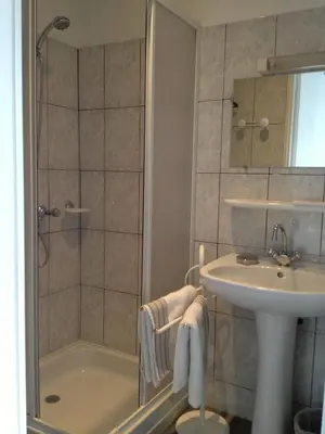 a bathroom with a shower and a sink at Chambres d'hôtes Le Pessac in Vielmur-sur-Agout