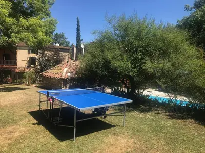 a blue ping pong table in a yard at Gites de Montcabirol in Mirepoix