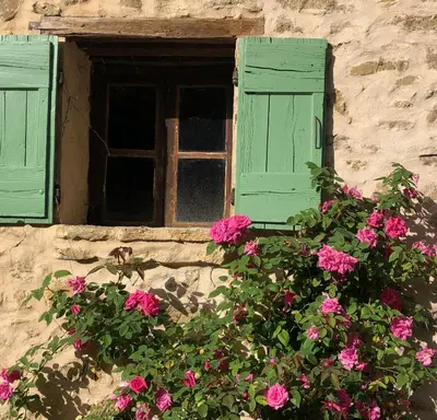 a window with green shutters and pink flowers at Gites de Montcabirol in Mirepoix