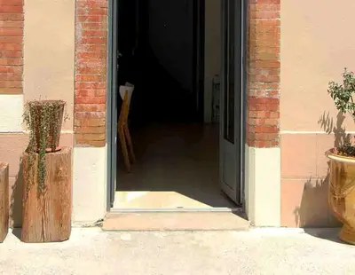 an open door of a brick building with two potted plants at midi03 in Carcassonne