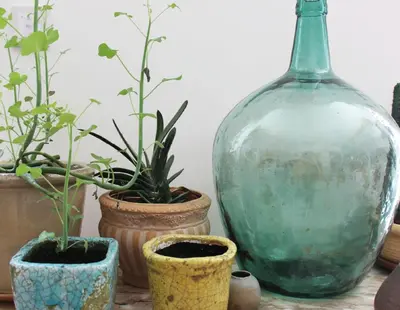 a group of potted plants and a large glass vase at midi03 in Carcassonne