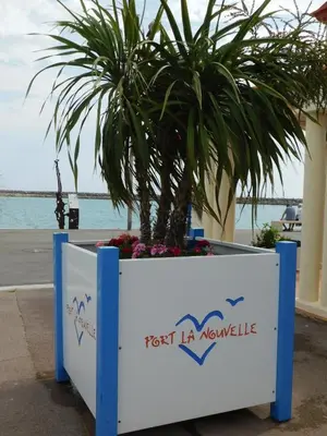 a palm tree in a sign in front of the water at La Maison CANTHEZ Wifi in Sigean