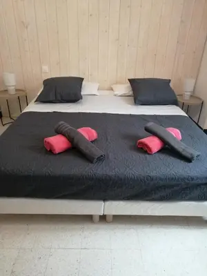 a bed with two pink pillows on top of it at La Maison CANTHEZ Wifi in Sigean