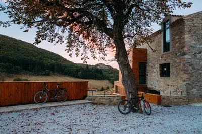 two bikes parked next to a house next to a tree at Domaine de Merlac in Rieussec