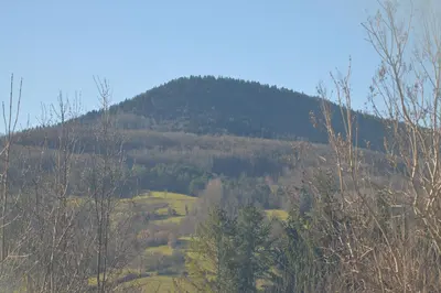 a mountain in the distance with trees in the foreground at El roble in LʼAiguillon