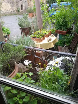 a garden with a table and chairs and plants at Mini-Hôtel de Camps in Camps-sur-lʼAgly
