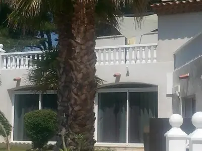 a palm tree in front of a white building at La Pinède D'Estarac in Bages
