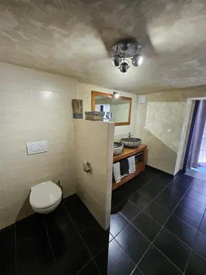 a bathroom with a toilet and a sink at La Pinède D'Estarac in Bages