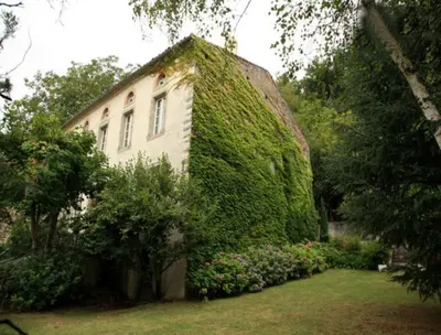 an ivy covered building with a yard with flowers at L'affable Les cammazes in Les Cammazes