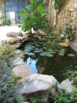 a koi pond in a garden with rocks at Gite la Tour in Pépieux