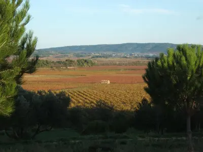 a field of crops with a farm in the distance at Gite la Tour in Pépieux
