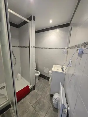 a bathroom with a shower and a toilet and a sink at T2 Cozy proche des Halles Climatisé in Narbonne