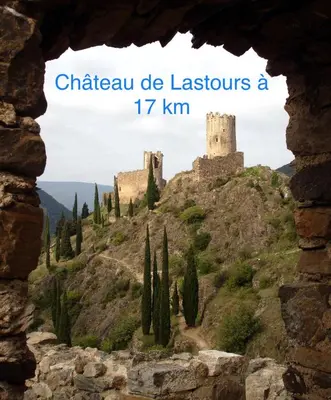 a window view of a castle on a hill with trees at Les iris in Carcassonne