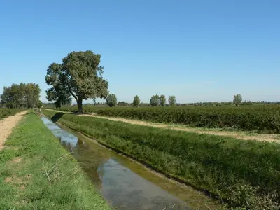 a river in the middle of a field with a tree at Chambres d'hôtes Domaine de Beaupré in Narbonne