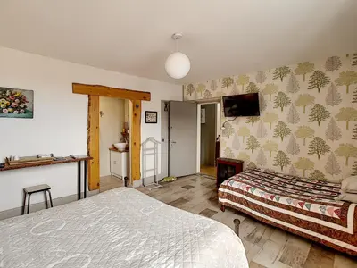a bedroom with a bed and a tv on the wall at Maison de ville au pied de la Montagne Noire in Mazamet