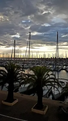 two palm trees in a harbor with boats at T2 sur le port avec parking in Gruissan