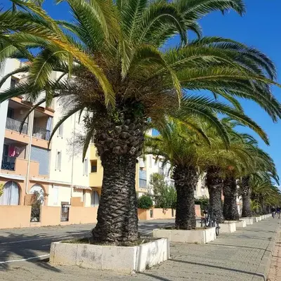 T2 sur le port avec parking