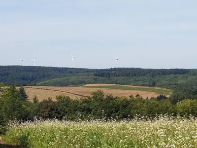 a field with windmills in the distance with flowers at chez Black and White in Les Martys