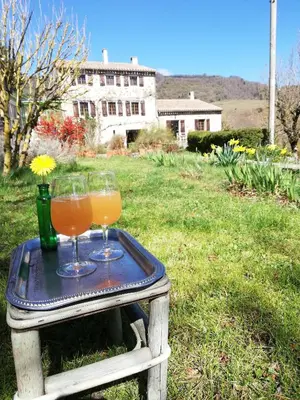 a tray with two glasses on a table in the grass at Domaine des Goudis in Bouisse