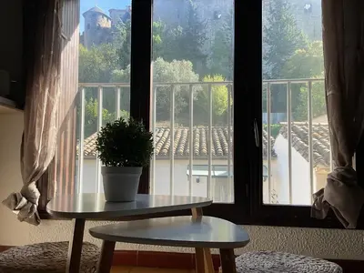 a potted plant sitting on a table in front of a window at Montez au créneau, Face à la Cité vue sublime in Carcassonne