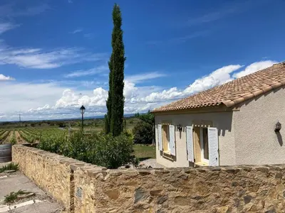 a house with a stone wall and a tree at Comfortable villa with jacuzzi in Montbrun-des-Corbières