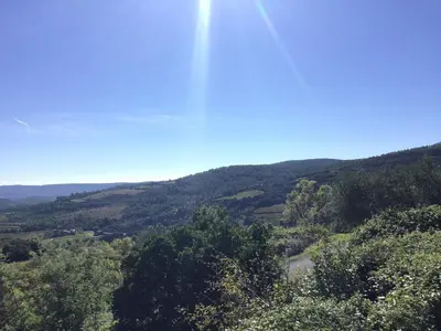 a view of auliculiculiculiculiculiculiculiculiculiculiculic at Tranquil Vineyard Villa, Berlou in Berlou