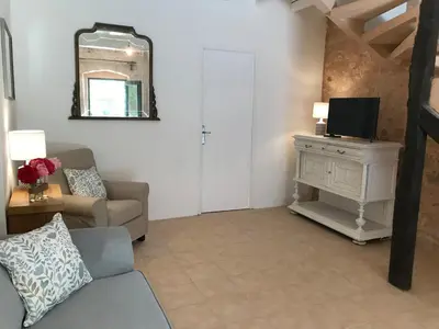 a living room with a couch and a tv and a mirror at Gîtes de Montcabirol in Mirepoix