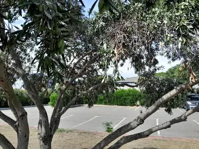 an empty parking lot with a tennis court at Fasthotel Narbonne in Narbonne