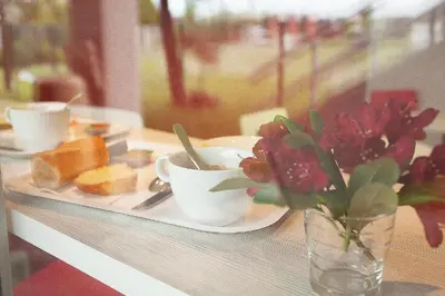 a table with a plate of food and a vase of flowers at Hôtel Premiere Classe Pamiers in Pamiers