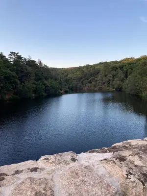 a lake in the middle of a forest at Gîte de Genty in Cenne-Monestiès