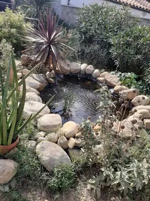 a pond in a garden with rocks and plants at Chambre privée au coeur d'une pinède dans un quartier résidentiel in Lézignan-Corbières