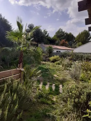 a garden with a palm tree and a fence at Chambre privée au coeur d'une pinède dans un quartier résidentiel in Lézignan-Corbières