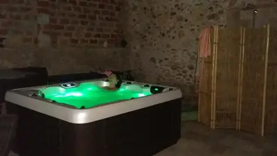 a hot tub with green water in a room at L'écrin de l'Orb in Cessenon