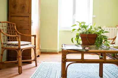 a room with a chair and a table with a potted plant at L'écrin de l'Orb in Cessenon