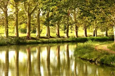 a body of water with trees in the background at MAS DES VIGNES - View Cité de Carcassonne in Carcassonne