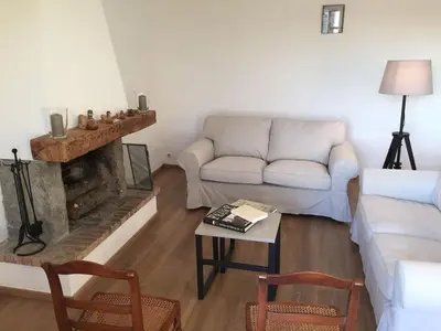 a living room with a couch and a fireplace at MAS DES VIGNES - View Cité de Carcassonne in Carcassonne