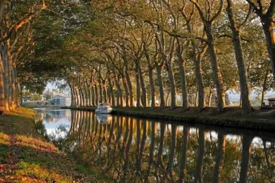 a boat in a river with trees on the sides at MAS DES VIGNES - View Cité de Carcassonne in Carcassonne