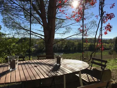 a wooden table with two glasses on it next to a tree at MAS DES VIGNES - View Cité de Carcassonne in Carcassonne
